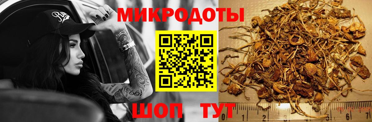 Галлюциногенные грибы ЛСД Лесной