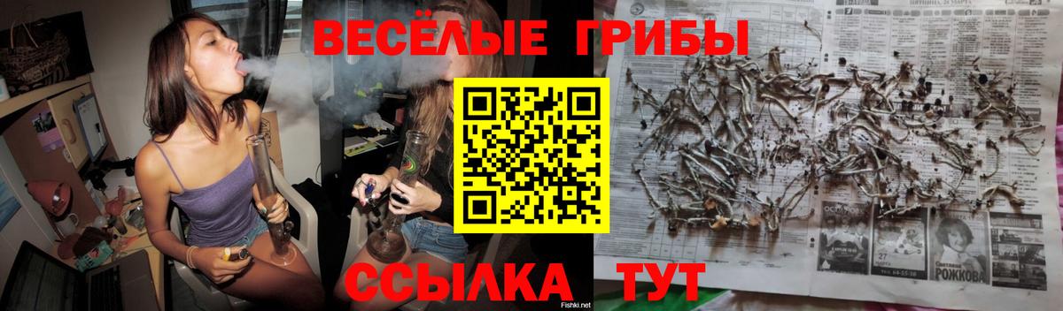Псилоцибиновые грибы MAGIC MUSHROOMS  Вход с VPN  Лесной  Галлюциногенные грибы GOLDEN TEACHER 